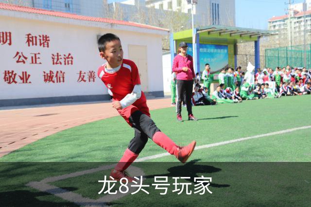 龙8头号玩家公司介绍